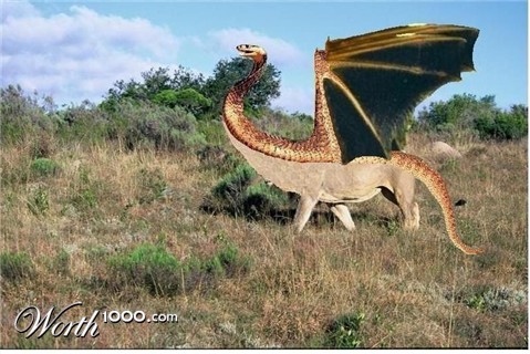 Photoshop Design by pterasaur