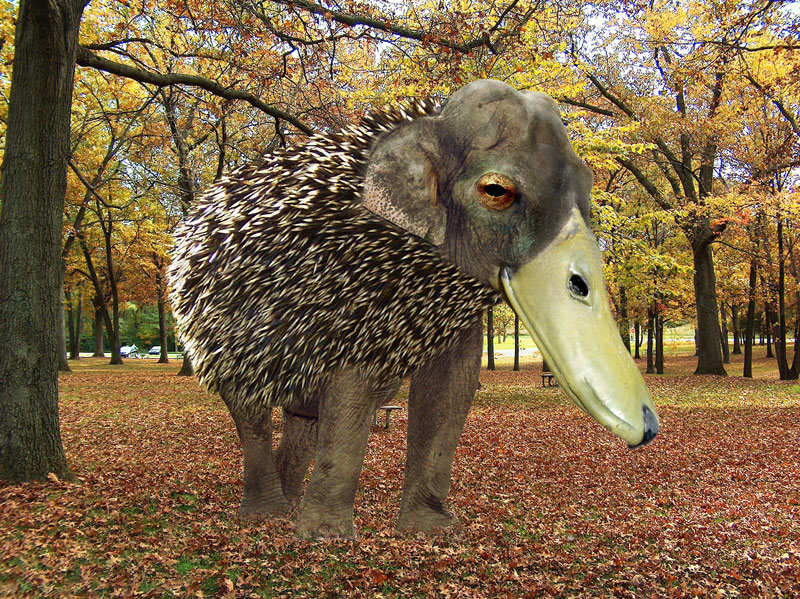 Design Photoshop par sherylphotomagic pour DesignCrowd (Community Contests) | Design #9004474