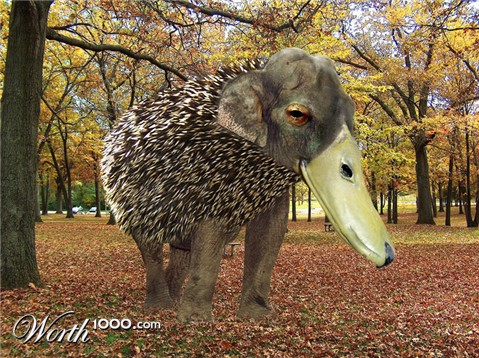 Photoshop Design by sherylphotomagic