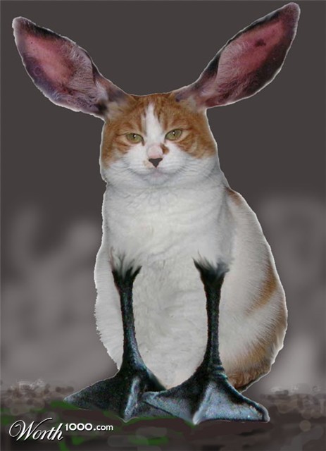 Photoshop Design by cliknsnap