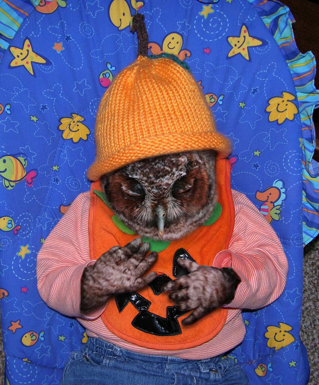 Photoshop-Design von stellio für DesignCrowd (Community Contests) | Design #9006974