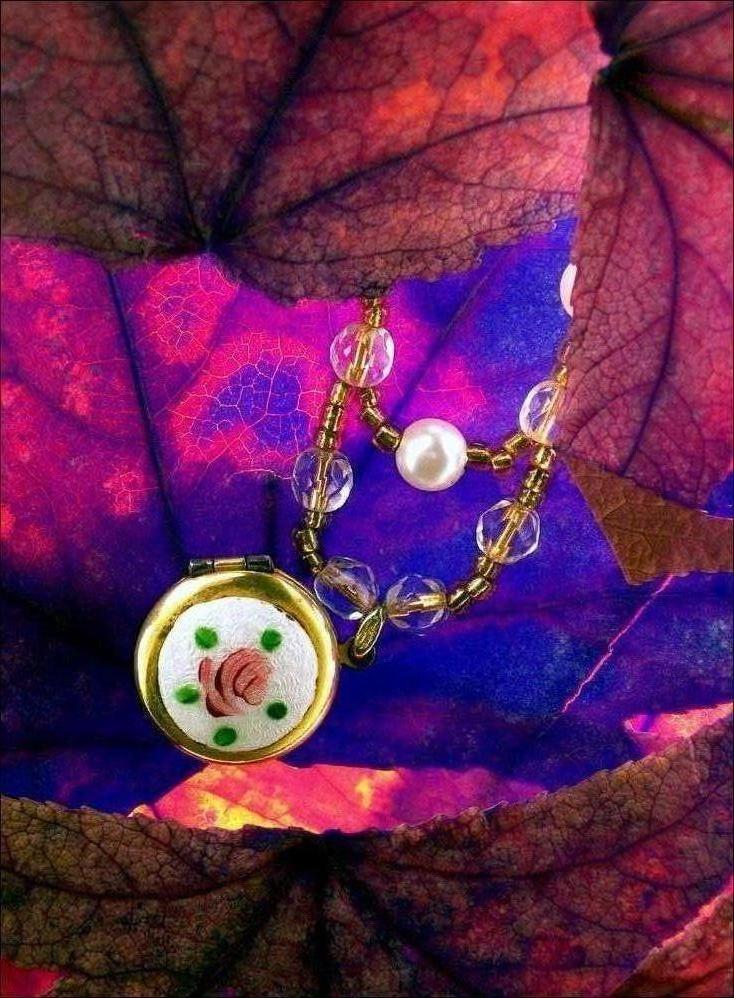 Photography by Isabella2006 for DesignCrowd (Community Contests) | Design #9005694