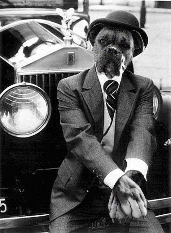 Diseño de Photoshop por TedJ1s para DesignCrowd (Community Contests) | Diseño #9006984