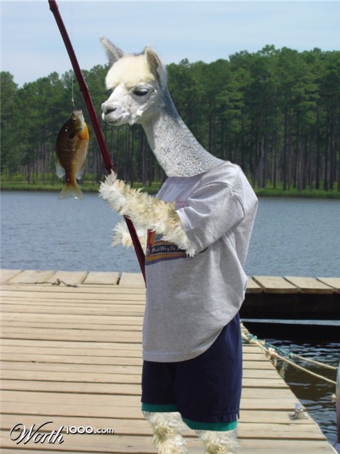 Photoshop Design by Fishwife