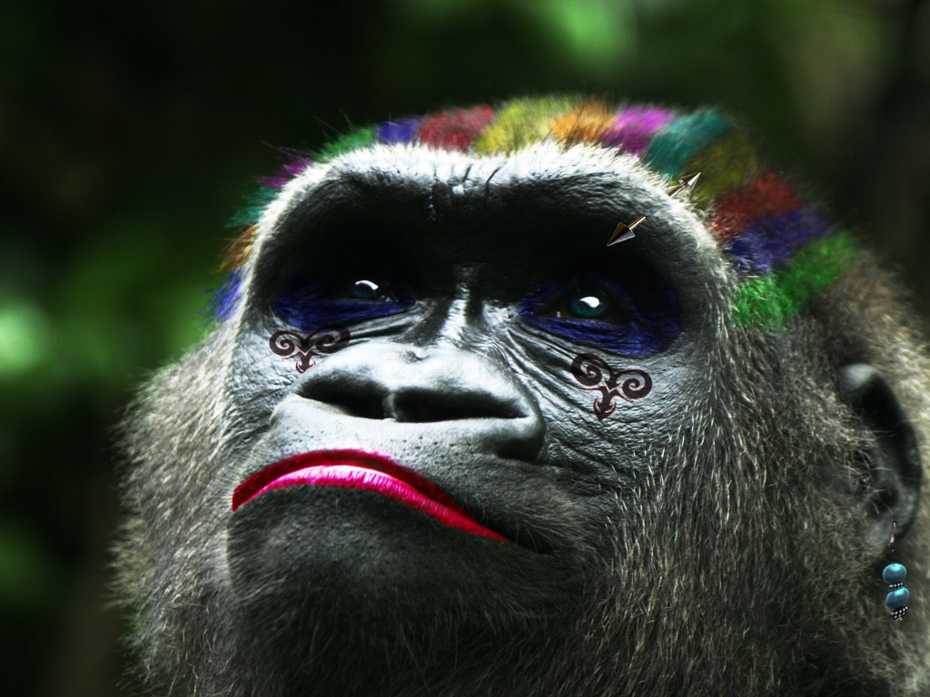 Photoshop Design by Cjester for DesignCrowd (Community Contests) | Design #9006986
