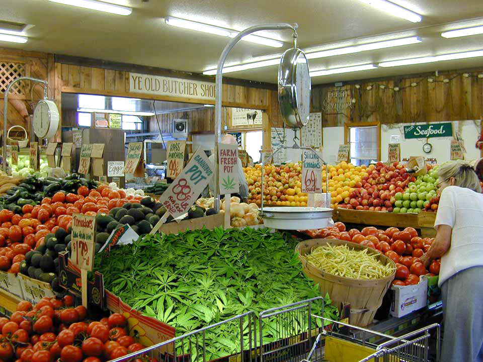 Photoshop Design by corwin1 for DesignCrowd (Community Contests) | Design #9007139