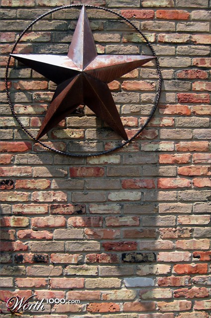 Photography by cridley