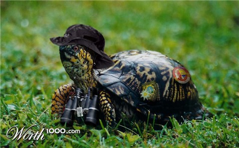 Photoshop Design by sihaja