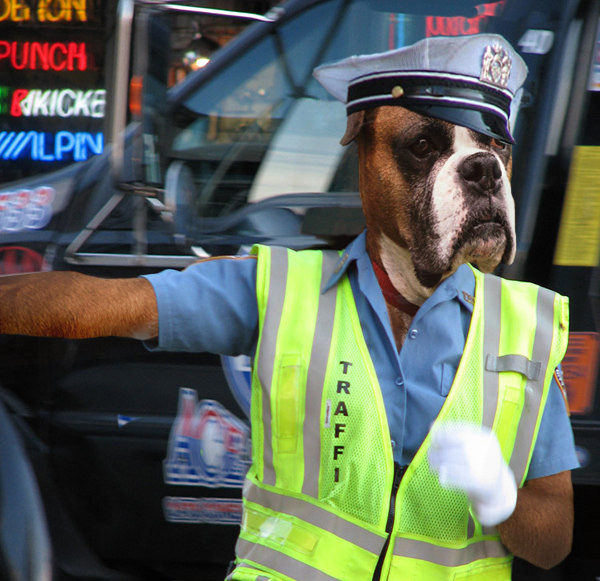 Photoshop Design by nnlockwood for DesignCrowd (Community Contests) | Design #9007005