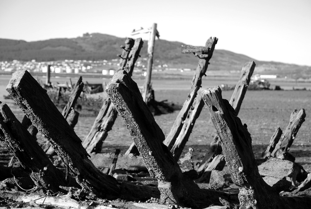 Photography by nzkiwi for DesignCrowd (Community Contests) | Design #9003460