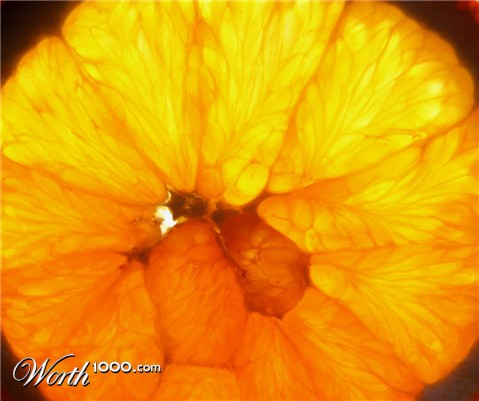 Photography by sorinj