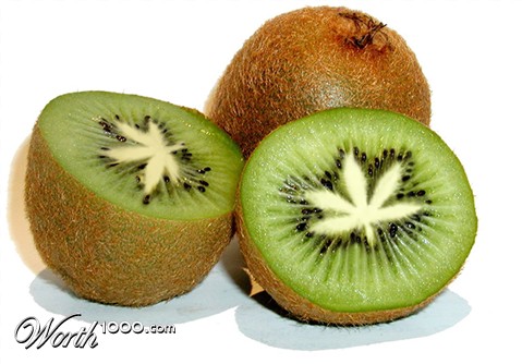 Photoshop Design by 1000gb