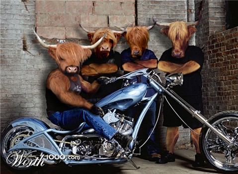 Photoshop Design by BuGPublications