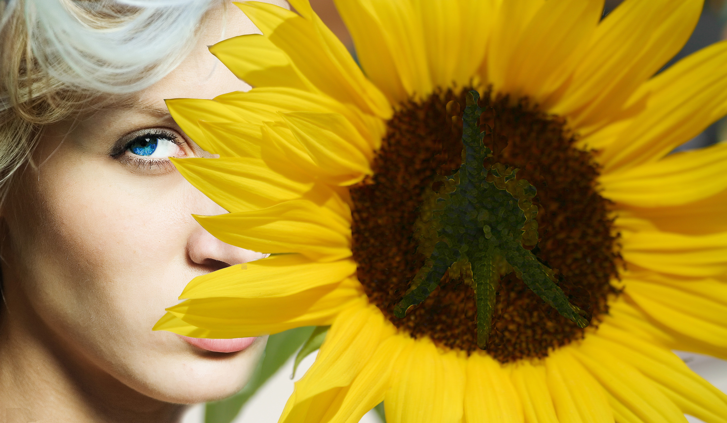 Design Photoshop par lilfishie49 pour DesignCrowd (Community Contests) | Design #9007261