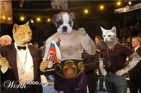 Photoshop Design by Photoshopper1992