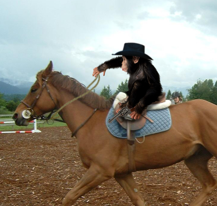 Photoshop Design by lordgilamesh for DesignCrowd (Community Contests) | Design #9007078