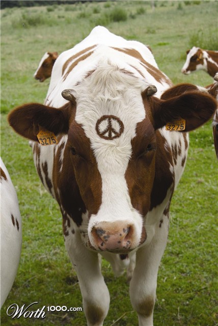 Photoshop Design by wanderc8