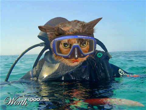 Photoshop Design by ajrns1