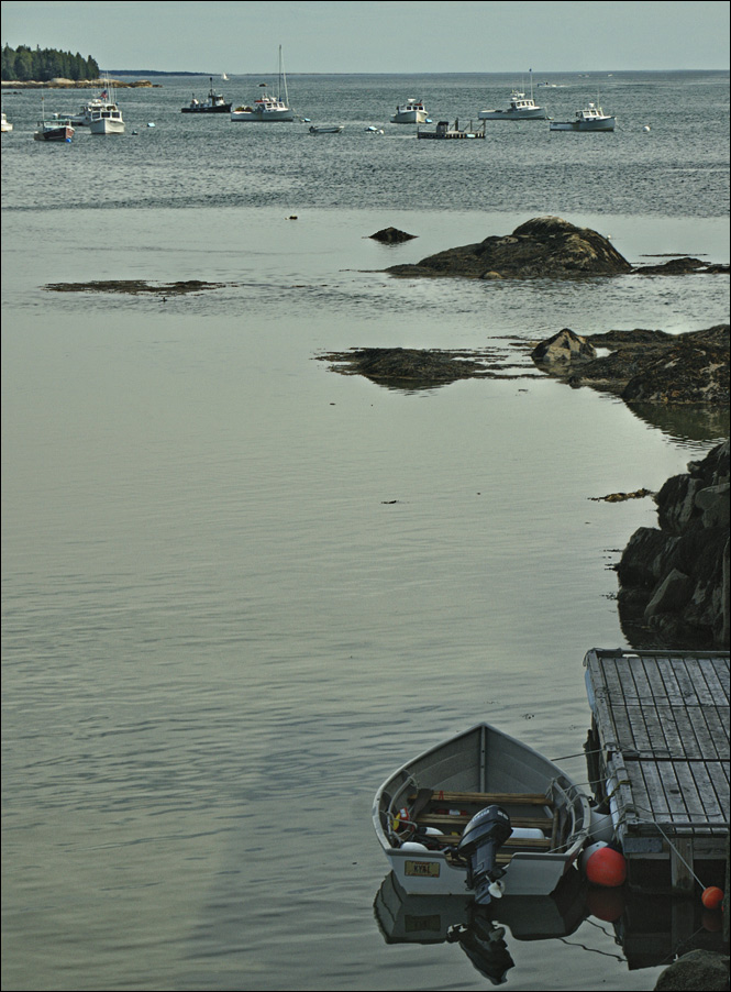 Photography by cakeladybarb for DesignCrowd (Community Contests) | Design #9003429