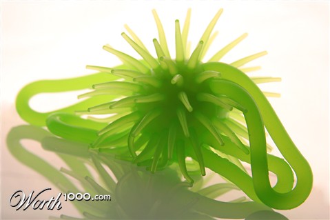 Photography by lilhorseebabee