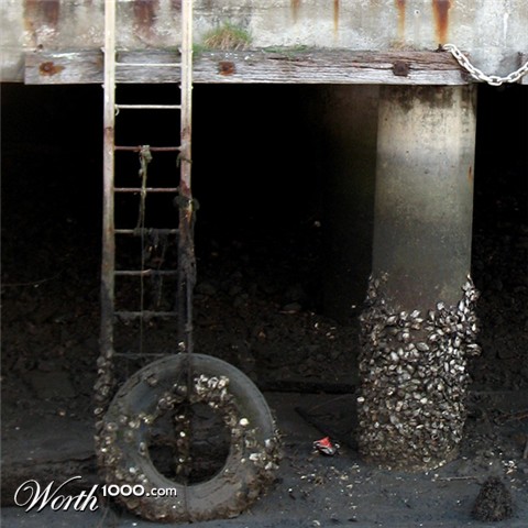 Photography by wheatus