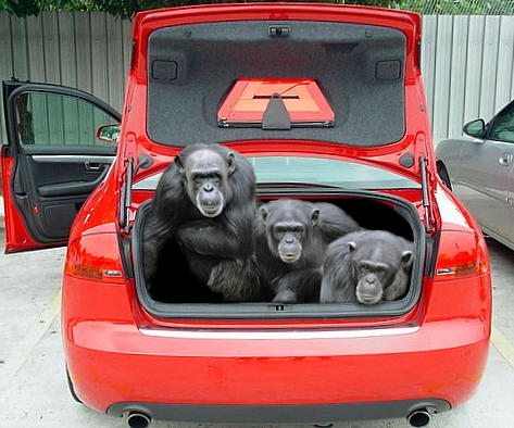 Photoshop Design by kylevovin for DesignCrowd (Community Contests) | Design #9007101