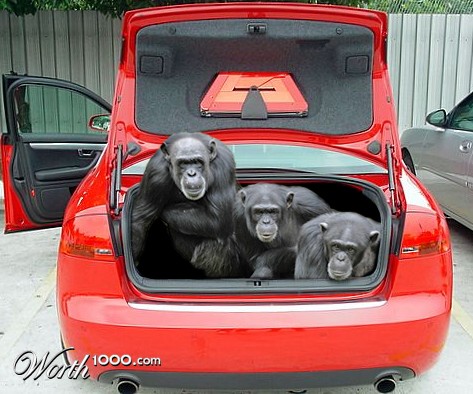 Photoshop Design by kylevovin