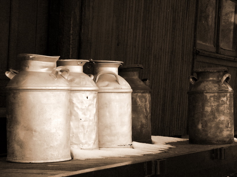 Photography by mmc9496 for DesignCrowd (Community Contests) | Design #9002124