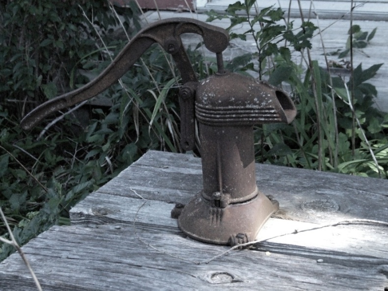 Photography by LykoiSpirit for DesignCrowd (Community Contests) | Design #9002130