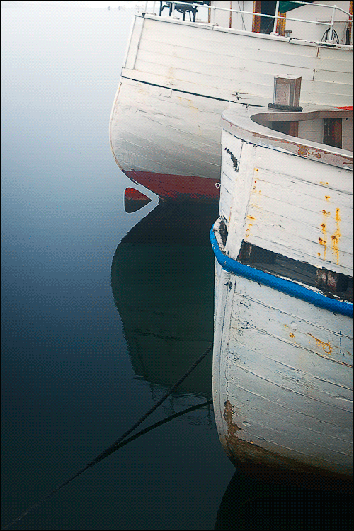 Photography by meerkat2 for DesignCrowd (Community Contests) | Design #9003419