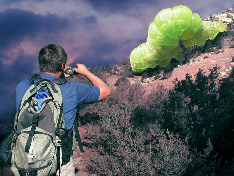 Photoshop Design by mzpresto for DesignCrowd (Community Contests) | Design #9007130