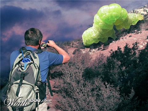 Photoshop Design by mzpresto