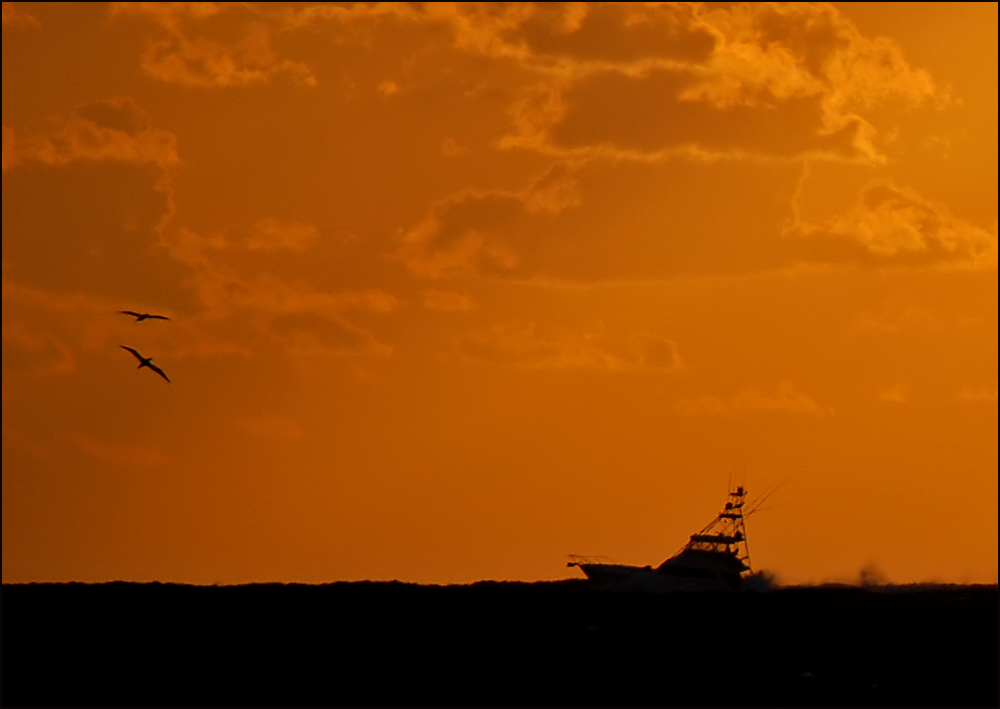 Photography by squaredd for DesignCrowd (Community Contests) | Design #9003483