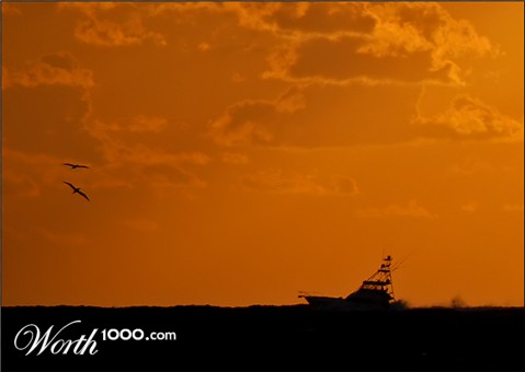 Photography by squaredd