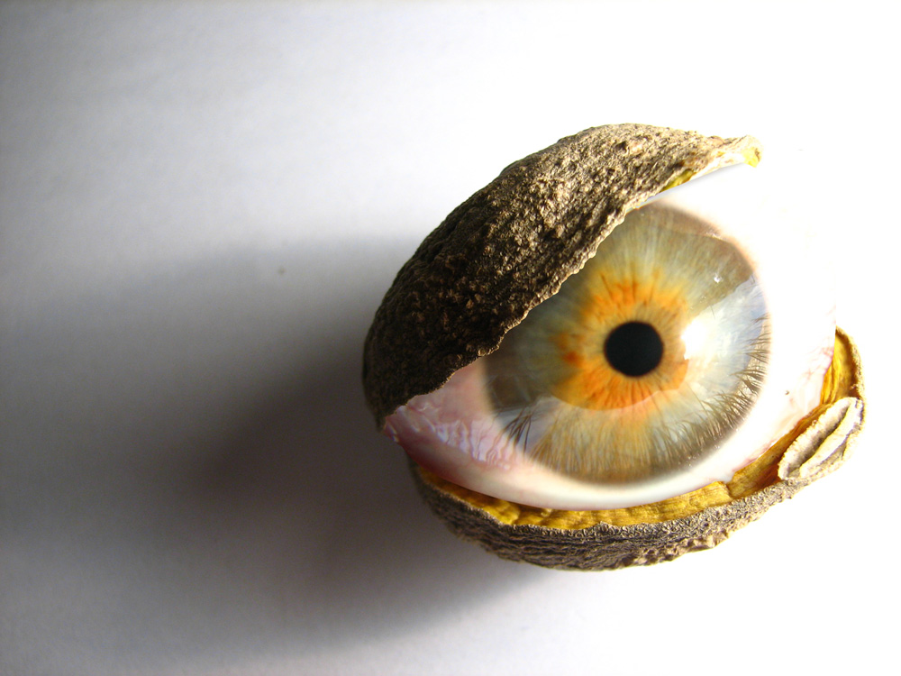 Photographie par arquiwhat pour DesignCrowd (Community Contests) | Design #8998582