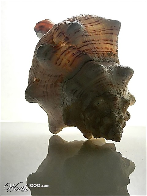 Photography by jandreu