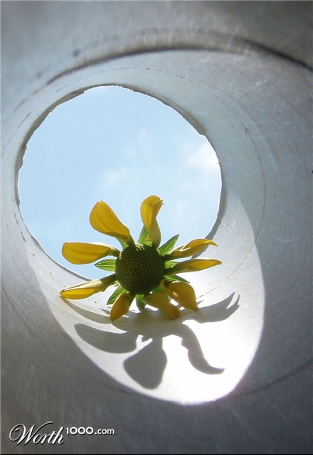 Photography by Nguuju