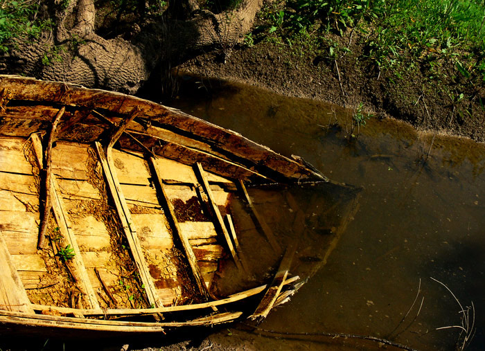 Photographie par alicina pour DesignCrowd (Community Contests) | Design #9002148