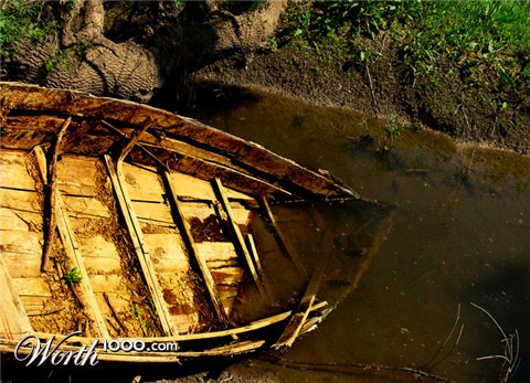 Photography by alicina