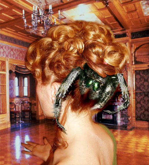 Photoshop-Design von ElliMayhem für DesignCrowd (Community Contests) | Design #9007196