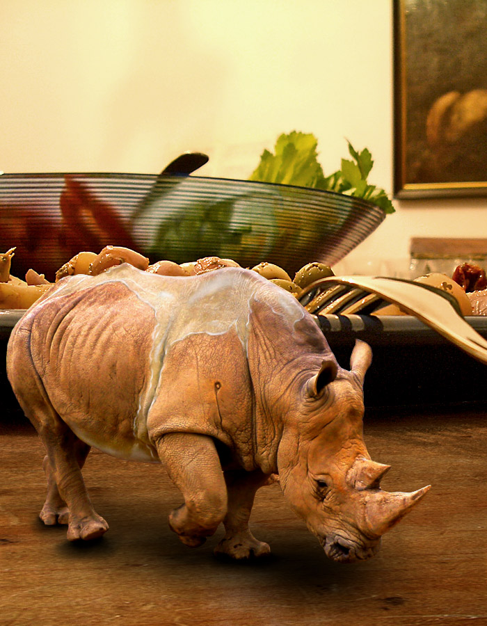 Photoshop Design by oaydin for DesignCrowd (Community Contests) | Design #9007242