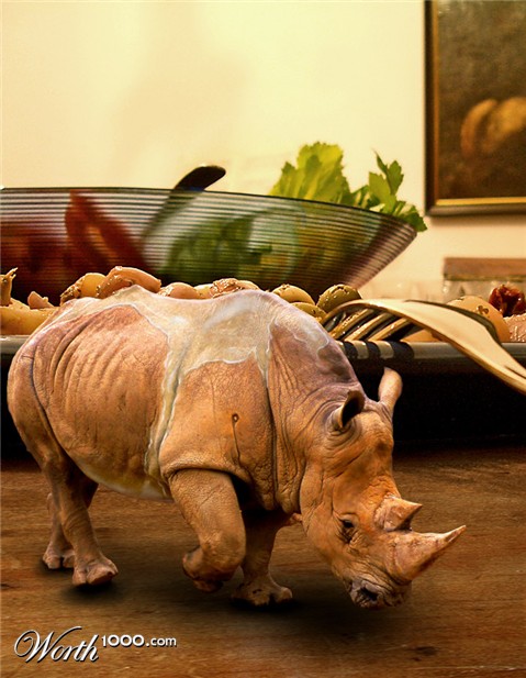 Photoshop Design by oaydin