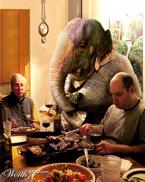 Photoshop Design by Koosricardo