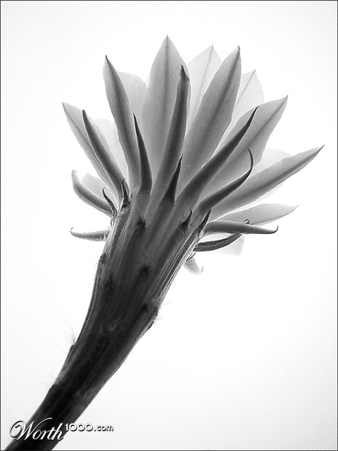 Photography by IsleofJura