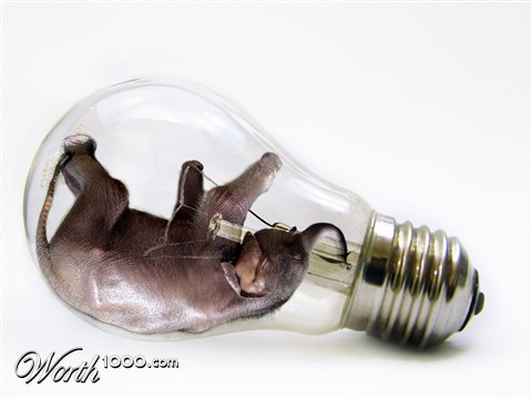 Photoshop Design by stellio