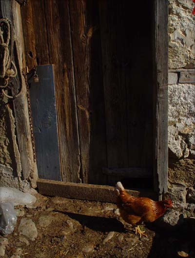 Fotografía por snapdragony para DesignCrowd (Community Contests) | Diseño #9002265