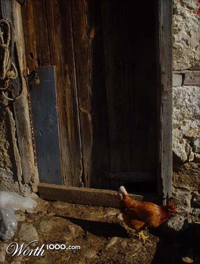 Photography by snapdragony