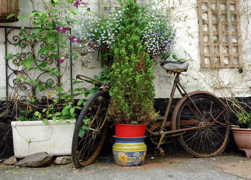 Photography by ljvgtj for DesignCrowd (Community Contests) | Design #9002229