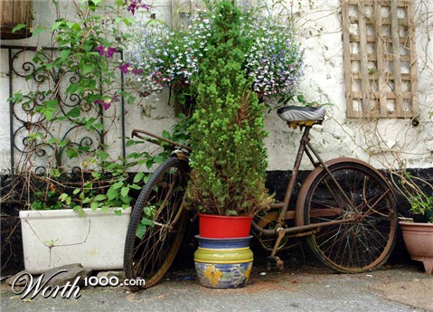 Photography by ljvgtj