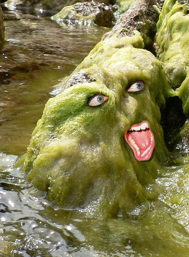 Photographie par jandreu pour DesignCrowd (Community Contests) | Design #8998594